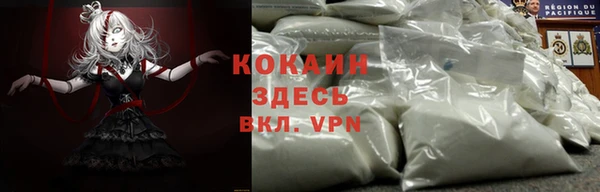 spice Куйбышев