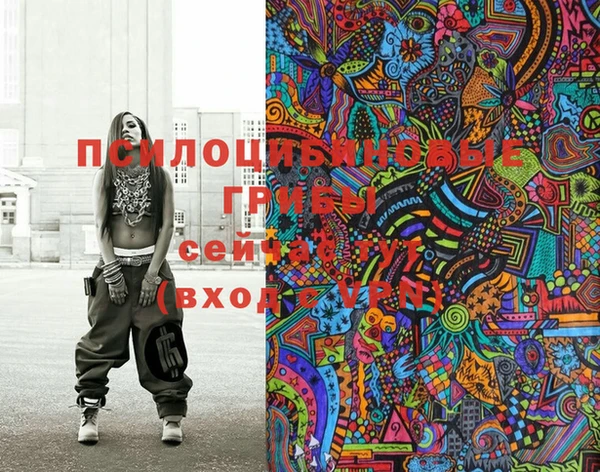 2c-b Кулебаки