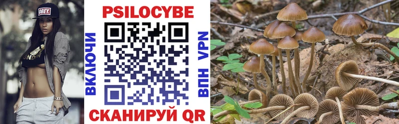 где продают   Иваново  Псилоцибиновые грибы мицелий 