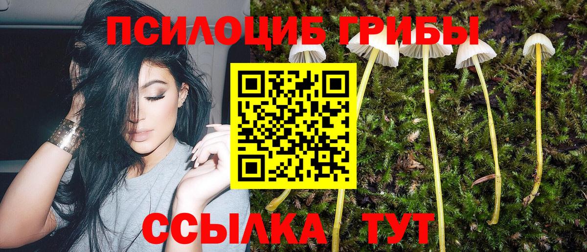 Галлюциногенные грибы Psilocybine cubensis  Вход с VPN  Иваново  Псилоцибиновые грибы MAGIC MUSHROOMS 