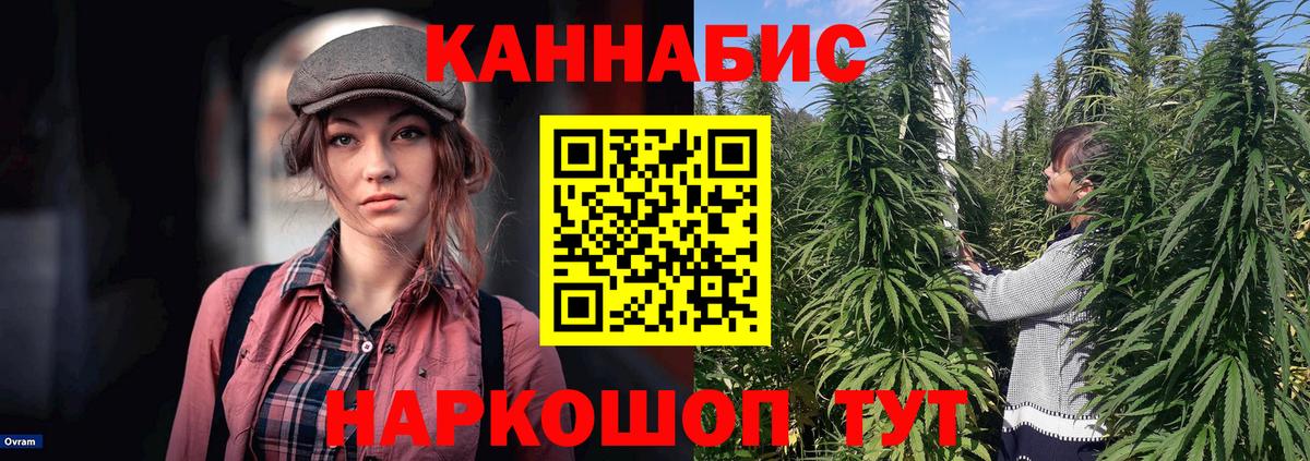 Каннабис OG Kush  Каннабис конопля  Иваново  Вход с VPN 